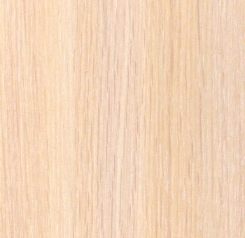 Дуб Млечный