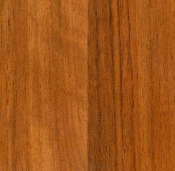 Орех Ноче Экко