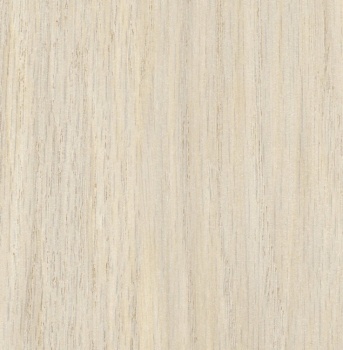 Дуб Белёный